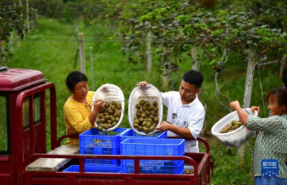 菲律宾客服公司金盛隆